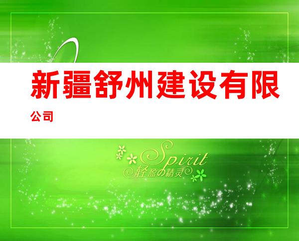 新疆舒州建设有限公司